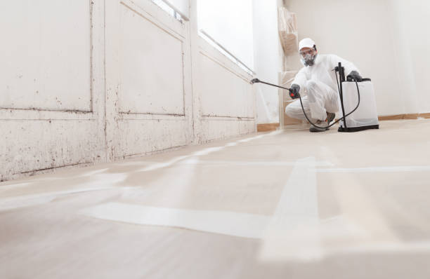 24/7 Emergency Basement Mold Remediation experts in Fredericksburg, PA