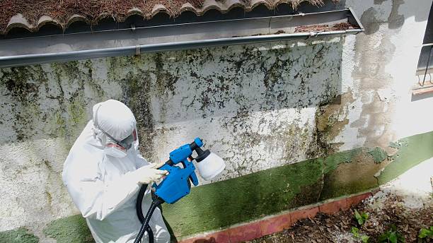Top rated local Basement Mold Remediation specialists in Fredericksburg, PA